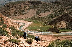 River Valley in the Zagros Mountains
